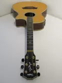 2002 Taylor 912CE Grand Concert Electro Acoustic Guitar with OHSC