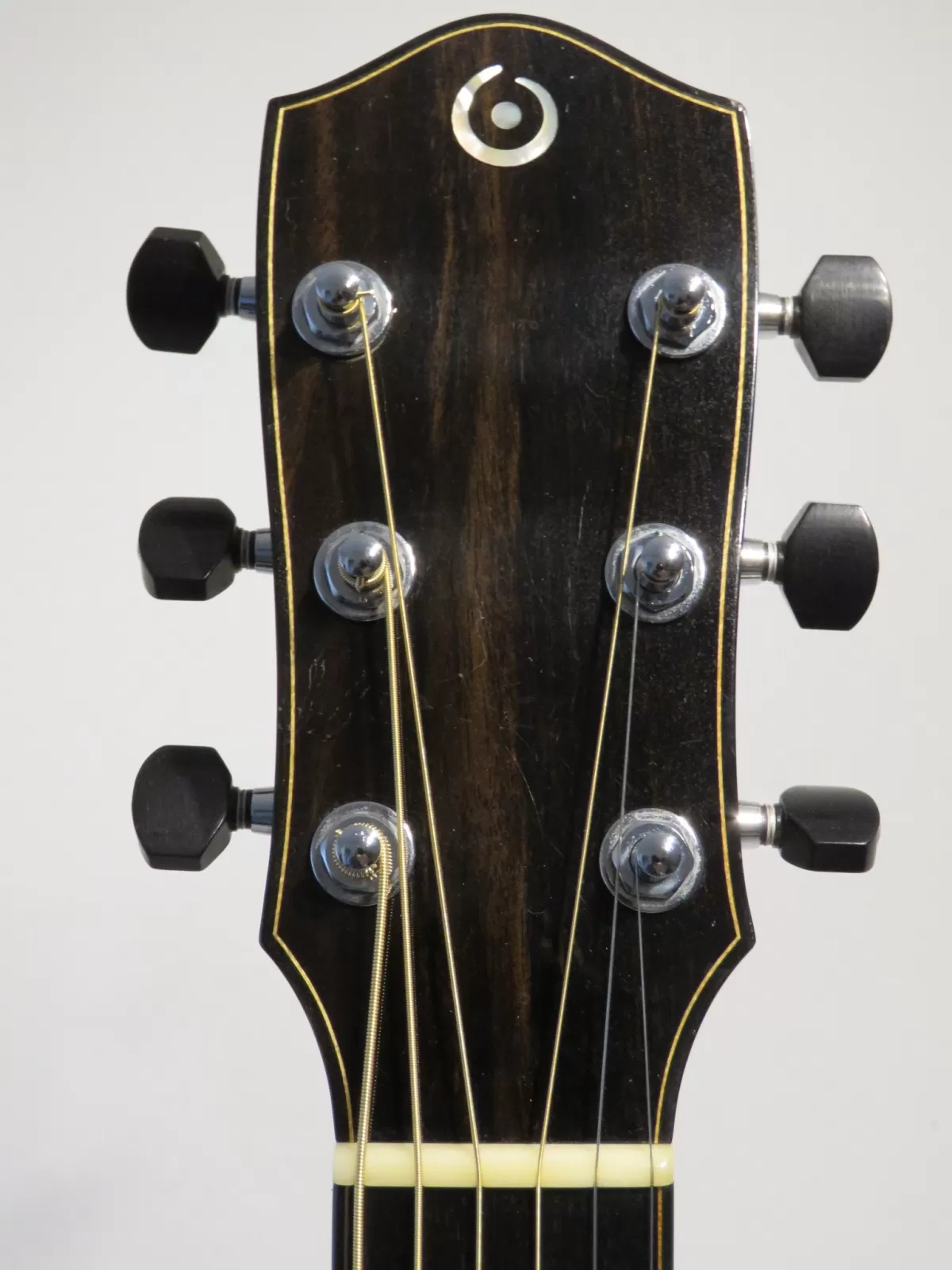 2013 Richard Osborne Damselfly Electro Acoustic Guitar with Hard Case