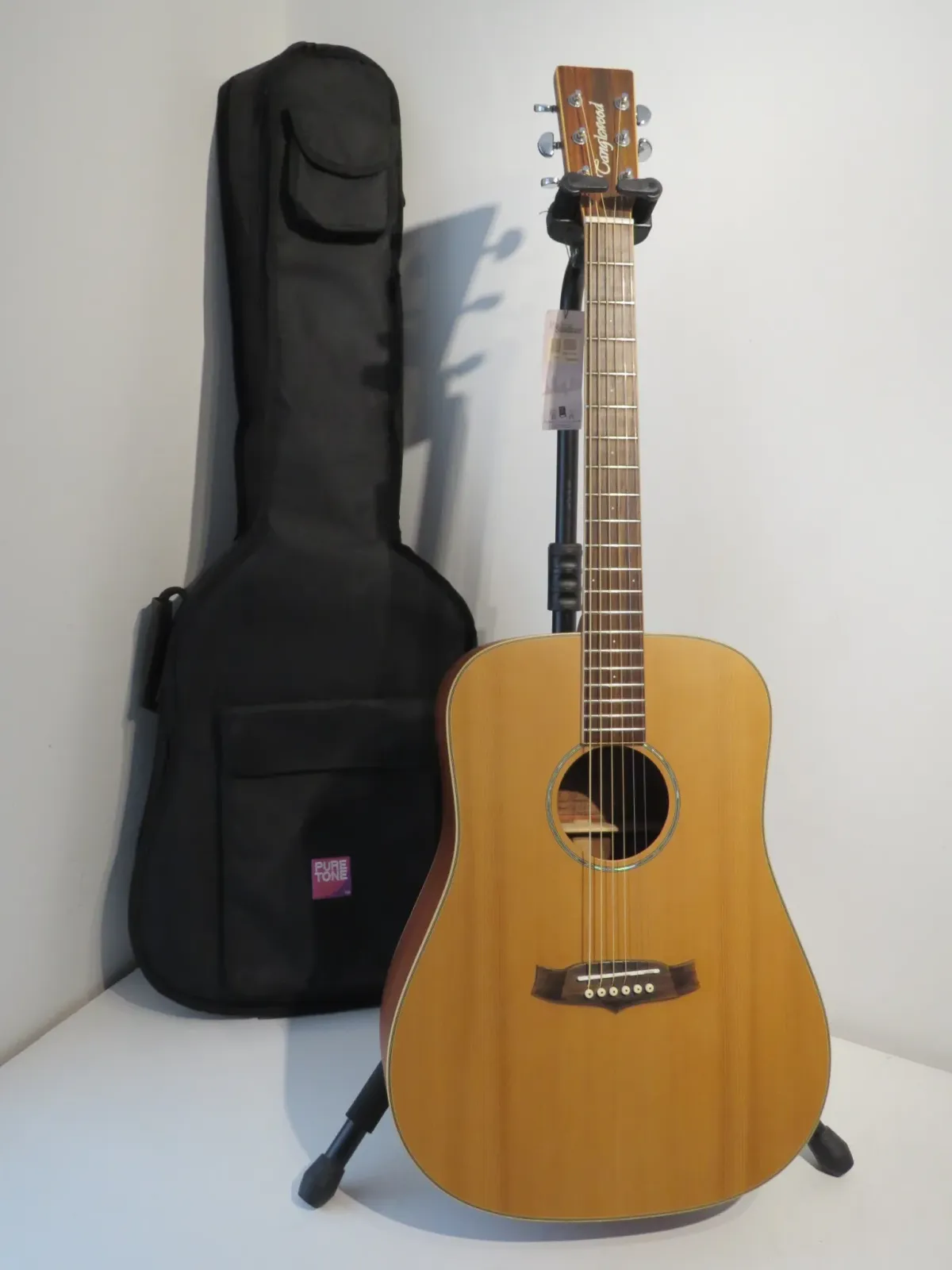 Tanglewood X15 NS Heritage Sundance Acoustic Guitar with Gig Bag