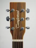 Tanglewood X15 NS Heritage Sundance Acoustic Guitar with Gig Bag