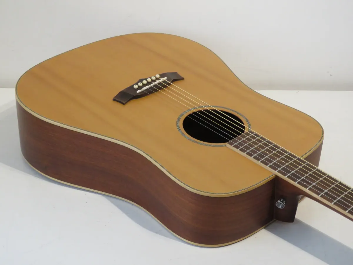 Tanglewood X15 NS Heritage Sundance Acoustic Guitar with Gig Bag