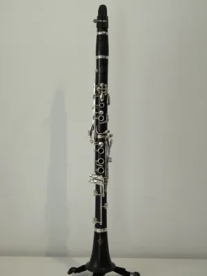 Buffet Crampon E12F Grenadilla Wood Bb Clarinet with Extras