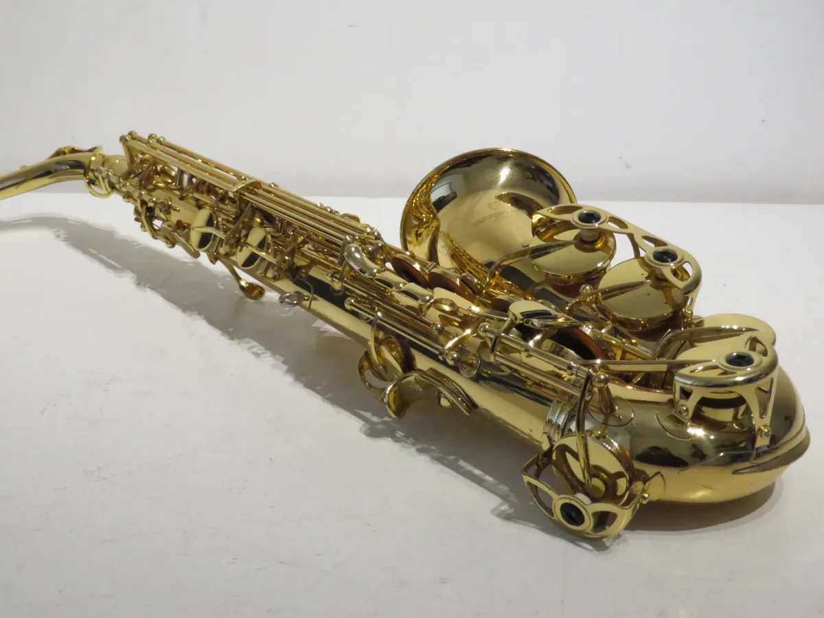 Yanagisawa A901 Alto Saxophone Outfit - Excellent Condition with Case