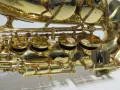 Yanagisawa A901 Alto Saxophone Outfit - Excellent Condition with Case