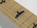 2019 PRS SE Custom 24 Floyd Rose/Roasted Maple Fingerboard – Mint