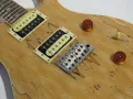 PRS SE Custom 24 Ltd Edition Spalted Maple Electric Guitar with Gig Bag