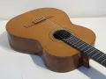 Raimundo Model 130 Classical Acoustic Guitar with Gig Bag