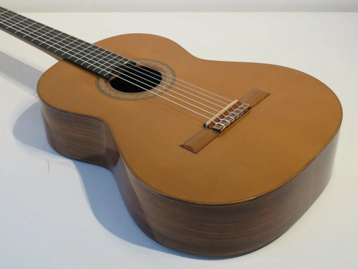 Raimundo Model 130 Classical Acoustic Guitar with Gig Bag