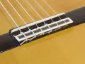 00 Amalio Burguet 2-F Flamenco Guitar with Hard case – Superb