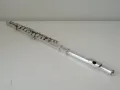 Trevor James Master Series II Solid Silver Professional Flute with Cases