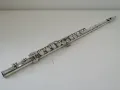 Trevor James Master Series II Solid Silver Professional Flute with Cases