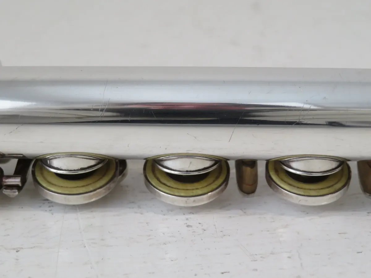 Trevor James Master Series II Solid Silver Professional Flute with Cases
